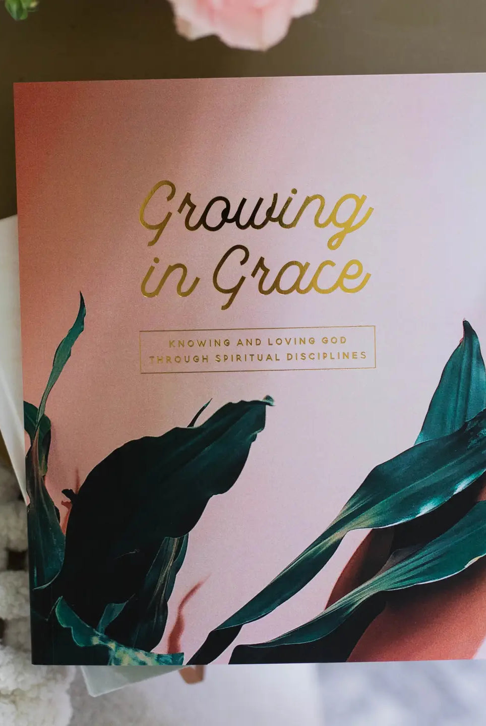 Growing In Grace Bible Study 307 Home Accessories from THE DAILY GRACE CO, featuring a decorative item with spiritual design.