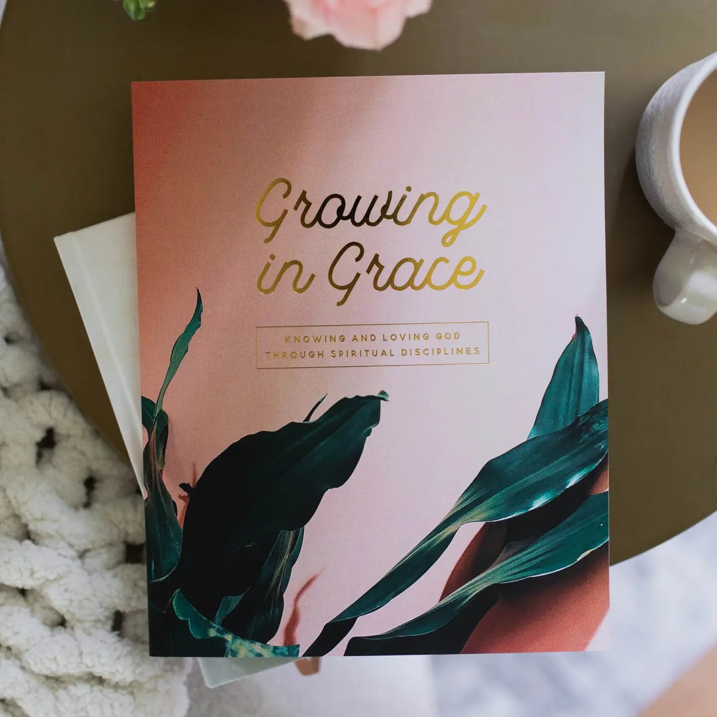 Growing In Grace Bible Study 307 Home Accessories from THE DAILY GRACE CO, featuring a decorative item with spiritual design.