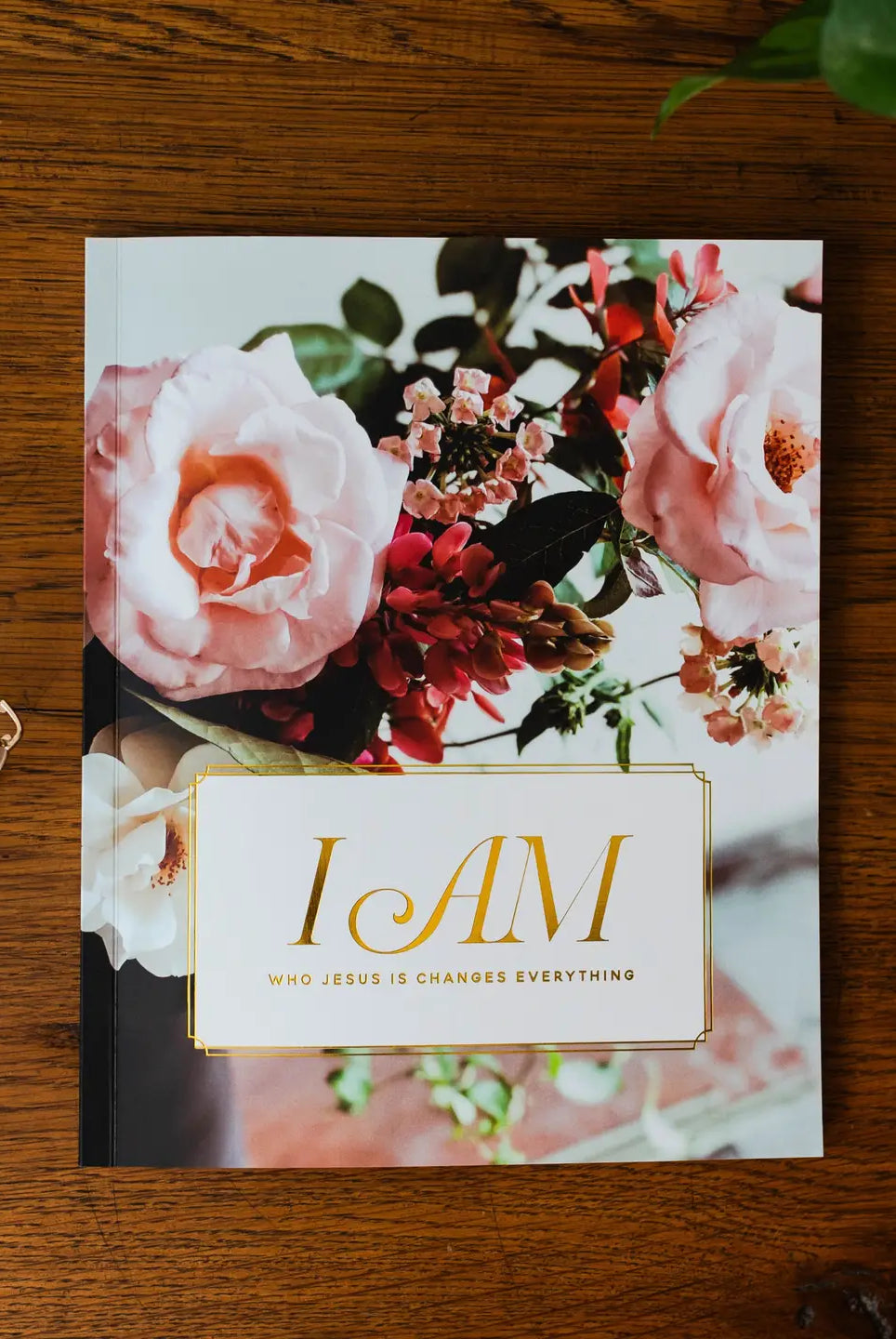 Bible study journal from THE DAILY GRACE CO, titled "I Am," with decorative cover, designed for personal reflection and spiritual growth.