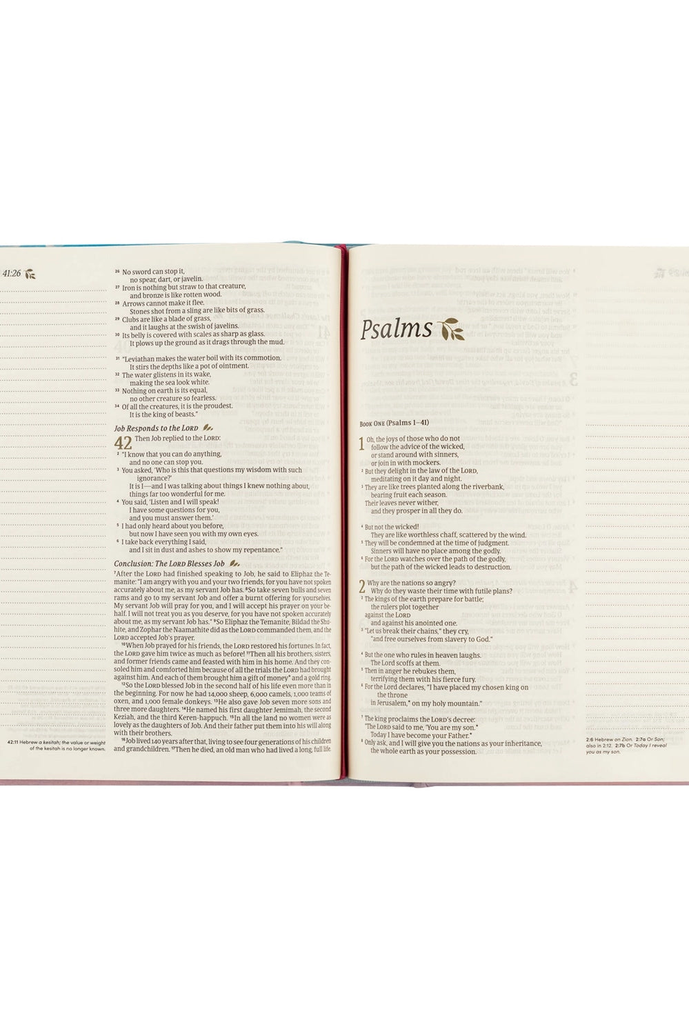 HOSANNA REVIVAL NLT Rosemary Notetaking Bible with 218 accessories, featuring a detailed cover and open pages for note-taking.