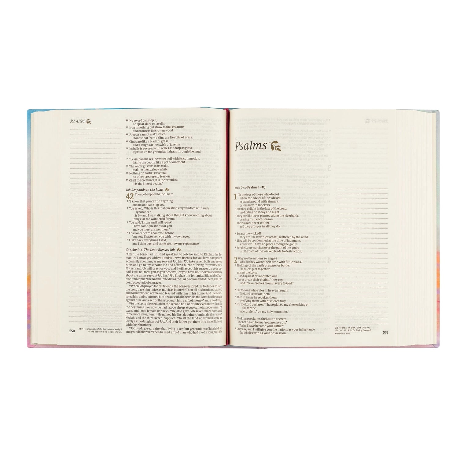 HOSANNA REVIVAL NLT Rosemary Notetaking Bible with 218 accessories, featuring a detailed cover and open pages for note-taking.