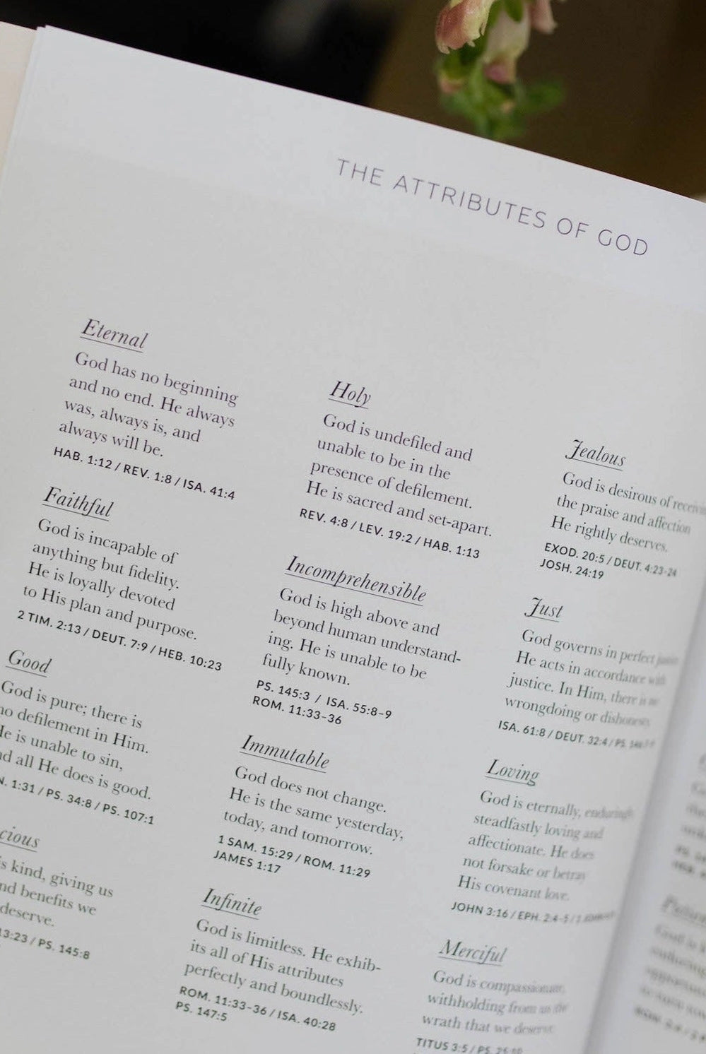 Growing In Grace Bible Study guide by THE DAILY GRACE CO, featuring a beautifully designed cover with inspiring scripture.