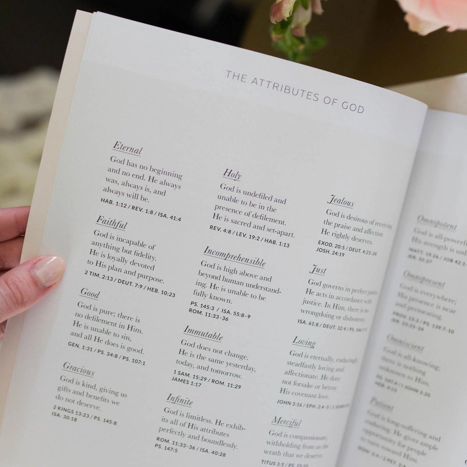 Growing In Grace Bible Study guide by THE DAILY GRACE CO, featuring a beautifully designed cover with inspiring scripture.