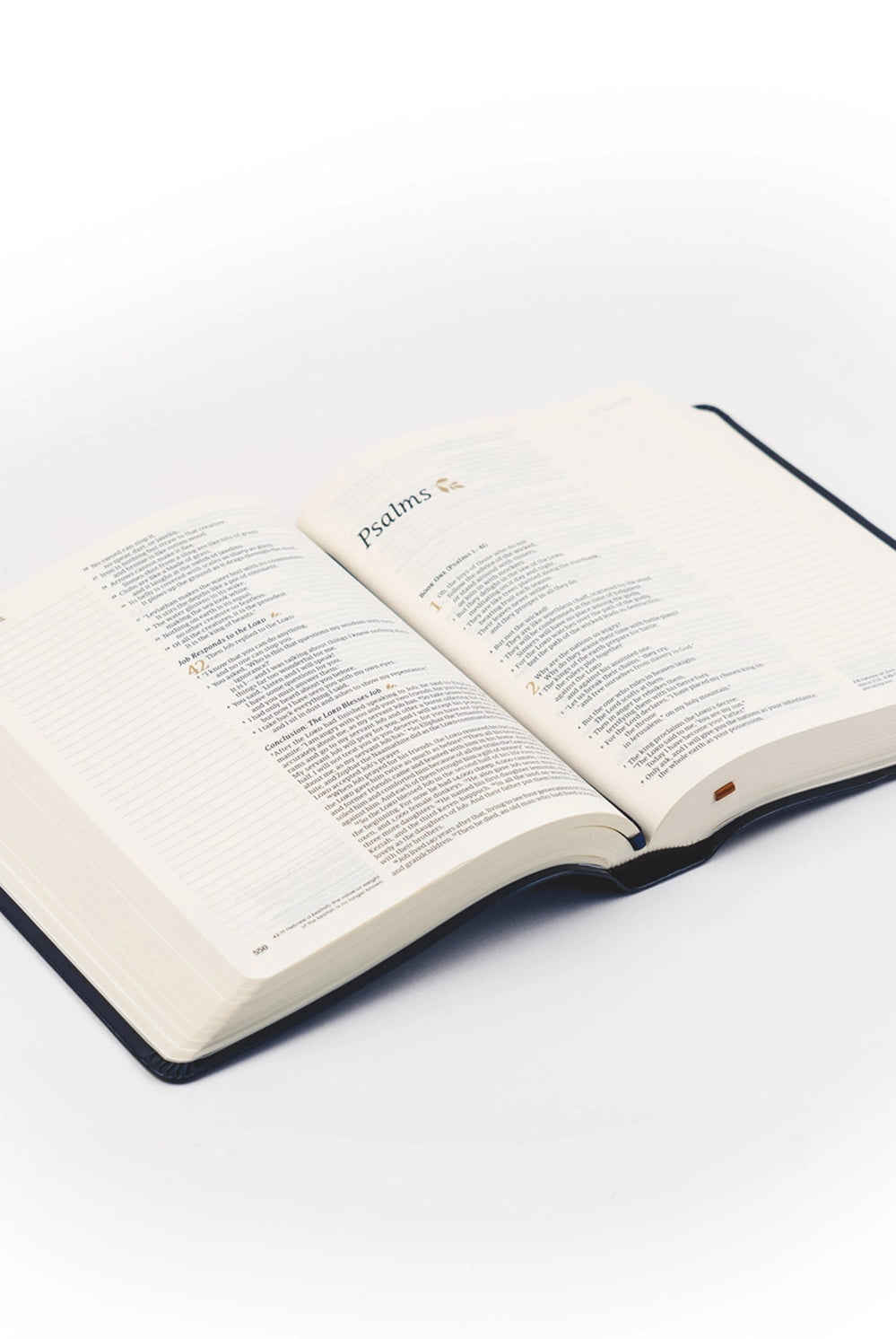 NLT Versailles Notetaking Bible by HOSANNA REVIVAL with leather cover and dedicated note pages, designed for Bible journaling and note-taking