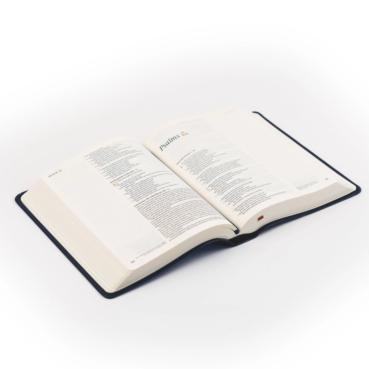 NLT Versailles Notetaking Bible accessory by HOSANNA REVIVAL, featuring a detailed view of the notetaking pages and design elements.