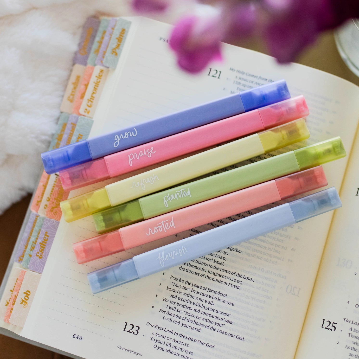 Set of garden highlighters from THE DAILY GRACE CO, featuring vibrant markers for highlighting plants and garden details.