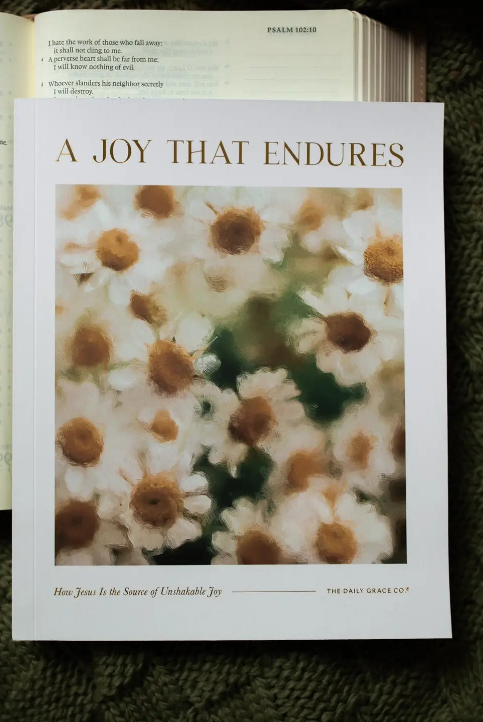 Joy That Endures Bible Study 307 Home Accessories by THE DAILY GRACE CO, featuring a book with a decorative cover and inspiring design.
