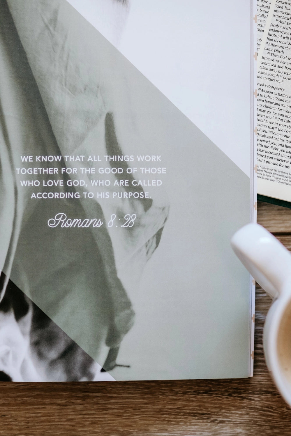 Daughters of Grace Bible Study book by THE DAILY GRACE CO, a Christian home accessory with inspiring spiritual content.