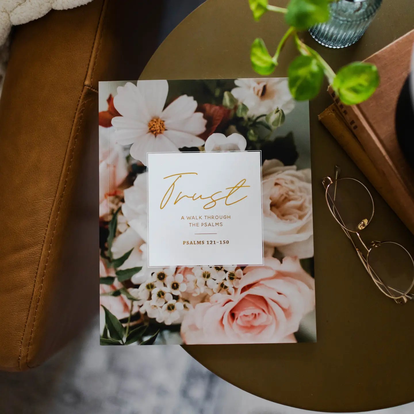 Trust Bible Study 307 home accessories by THE DAILY GRACE CO, featuring a cozy Bible-themed decor item with inspiring design.