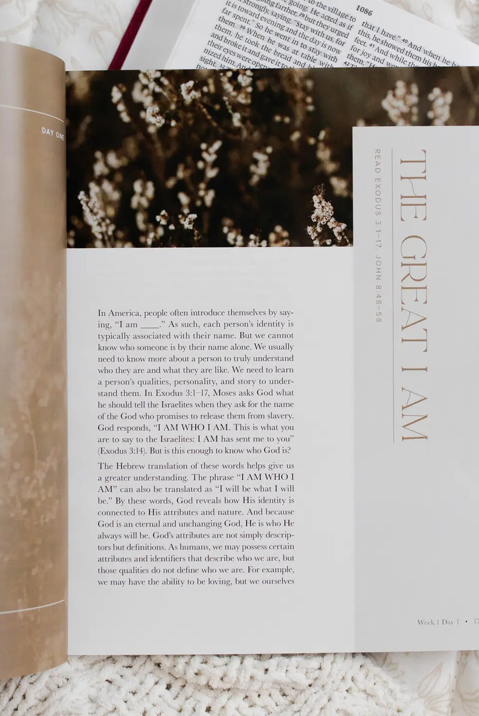 I Am Bible Study book by THE DAILY GRACE CO, a 307 Home Accessories item, featuring a soft cover with inspirational design.