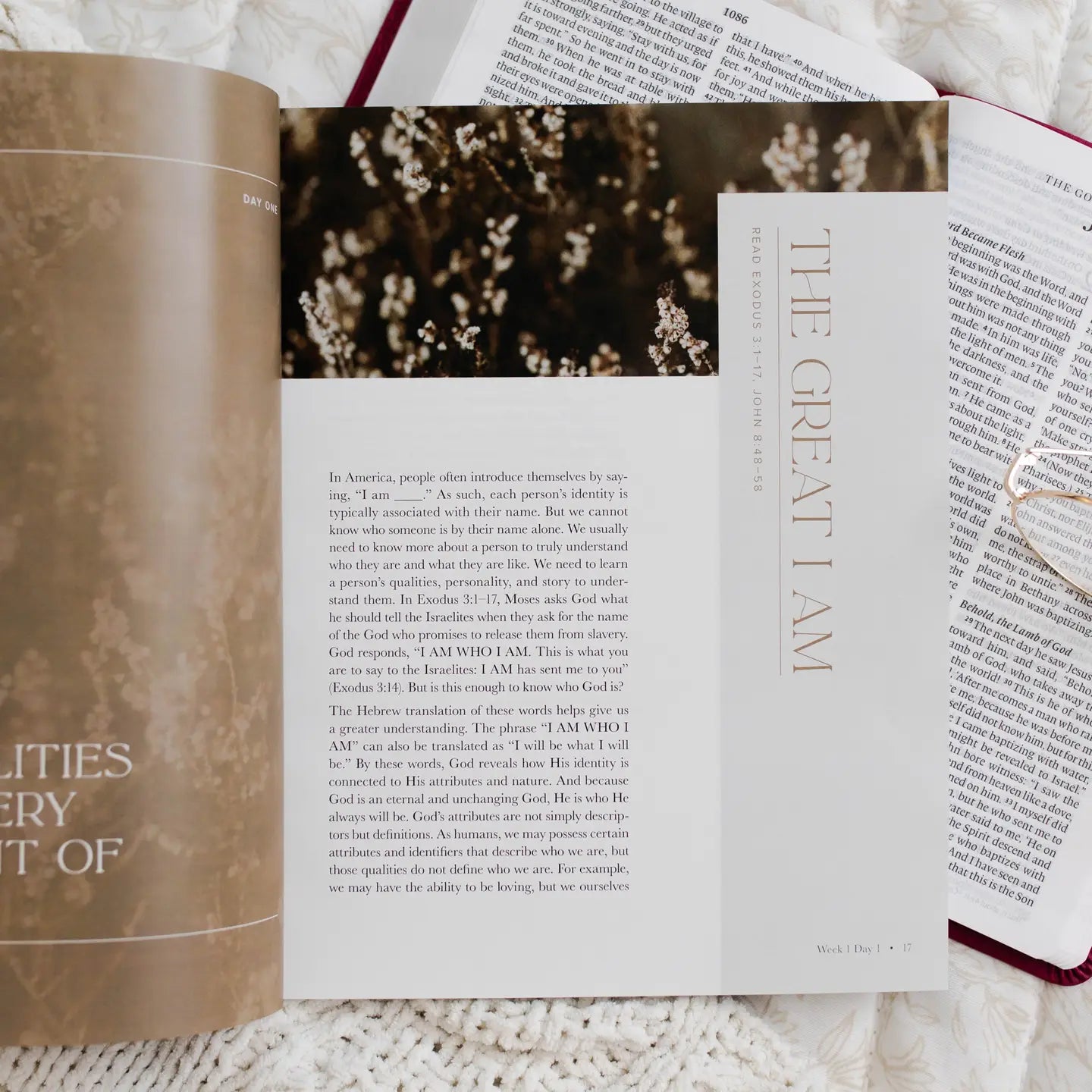 I Am Bible Study book by THE DAILY GRACE CO, a 307 Home Accessories item, featuring a soft cover with inspirational design.