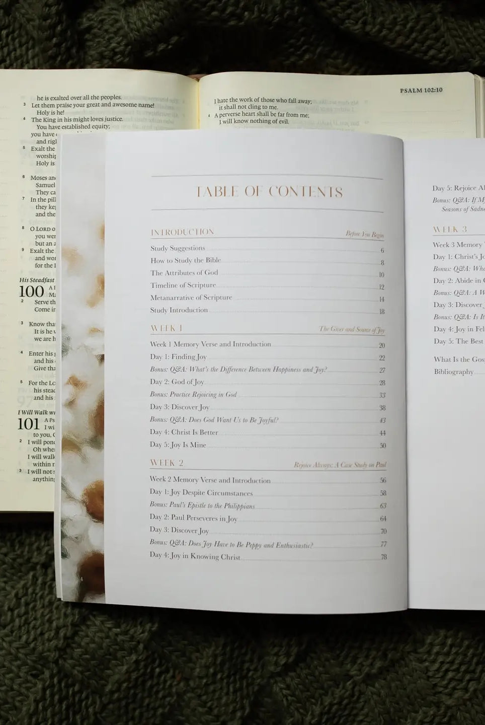 Joy That Endures Bible Study book by THE DAILY GRACE CO, a Christian devotional with inspiring cover design and elegant typography.