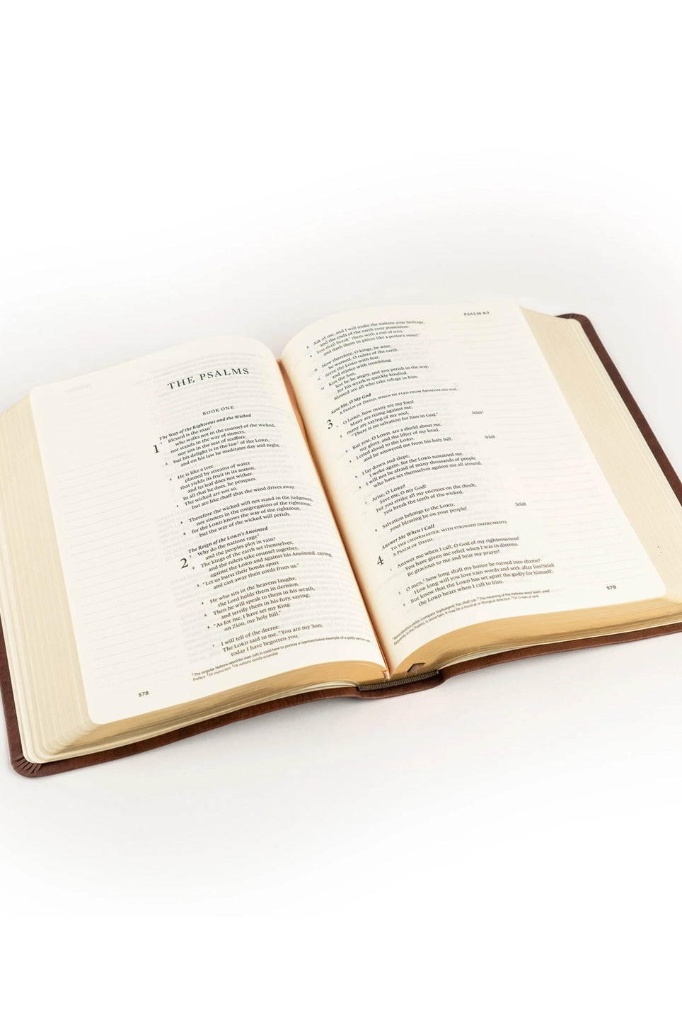HOSANNA REVIVAL ESV Palma Theme Journaling Bible, showing detailed cover with elegant design and gold-edged pages.