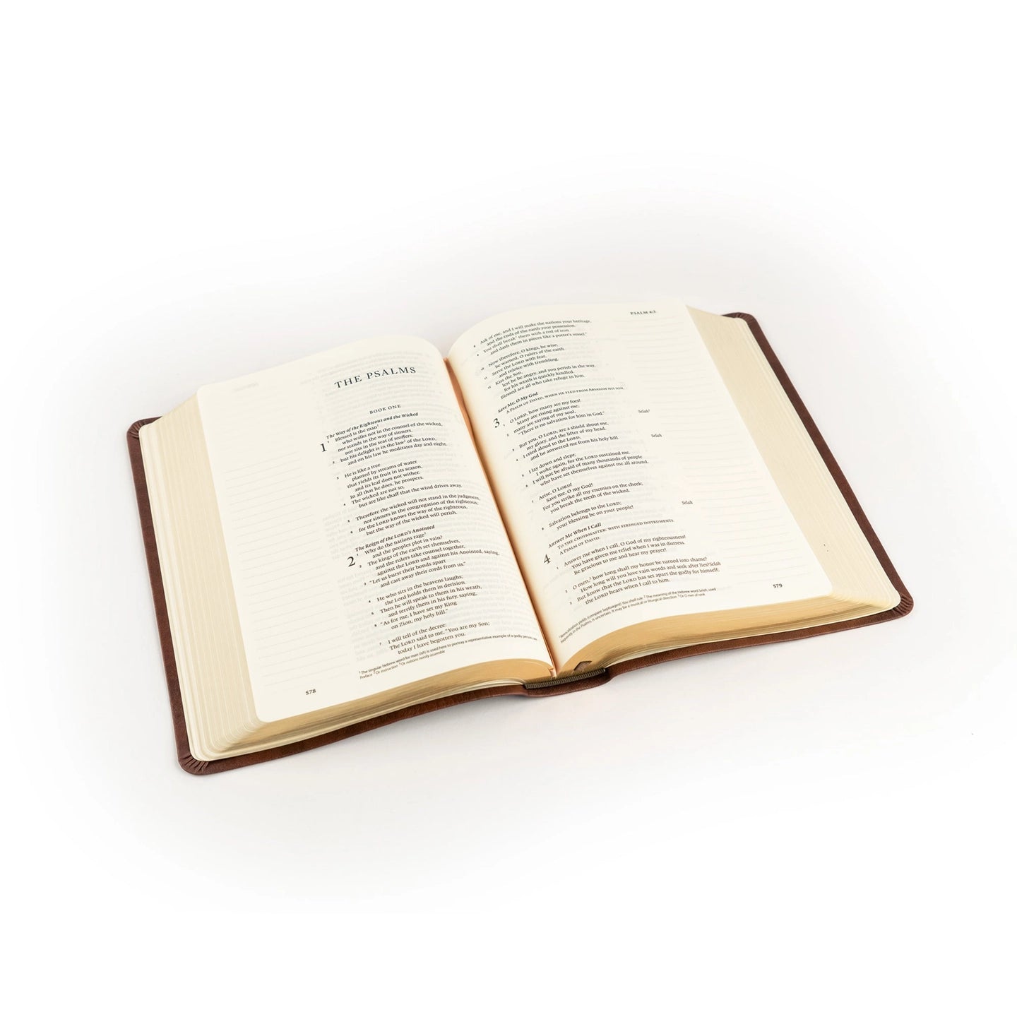 HOSANNA REVIVAL ESV Palma Theme Journaling Bible, showing detailed cover with elegant design and gold-edged pages.