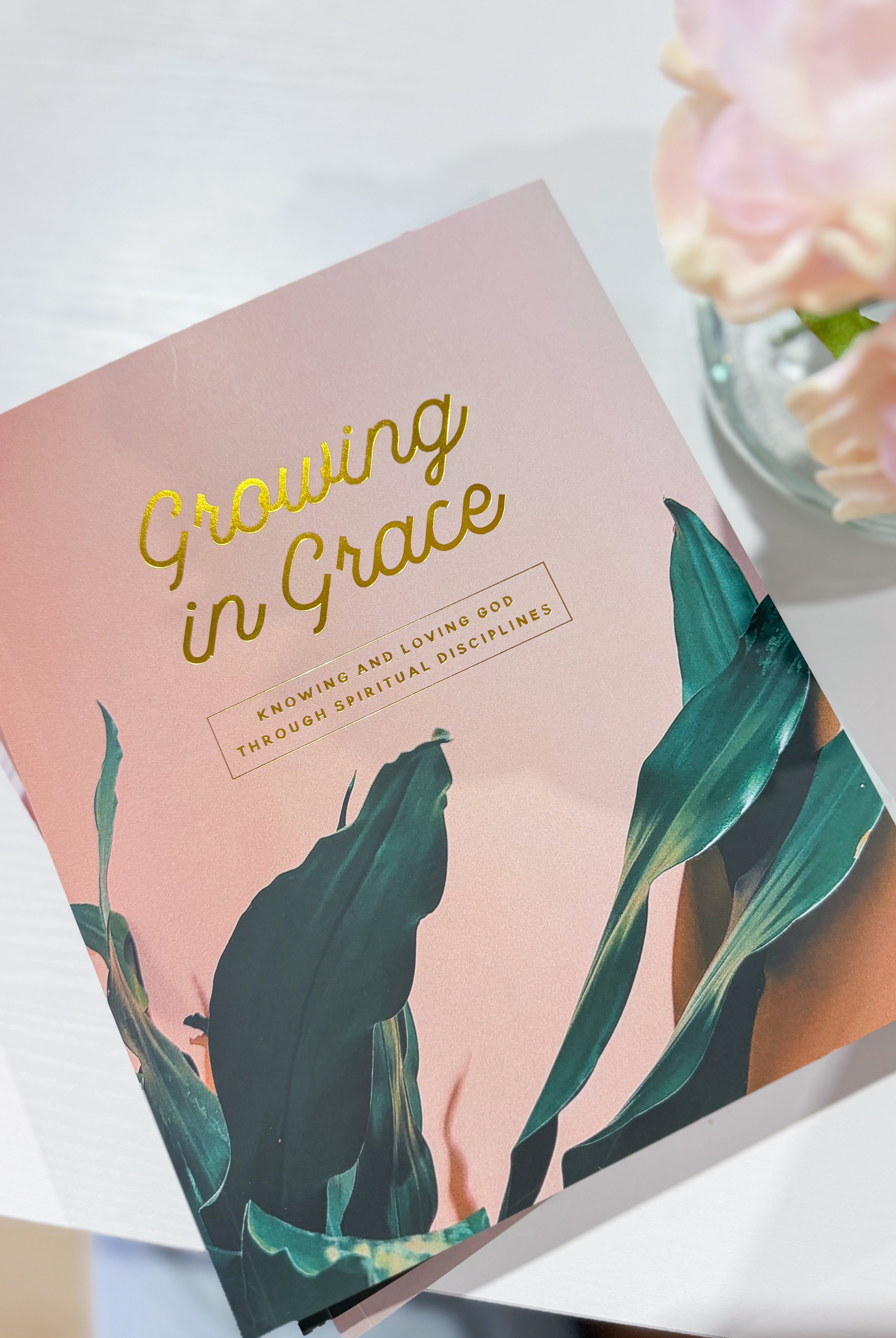 Growing In Grace Bible Study book by THE DAILY GRACE CO, featuring a close-up of the cover with elegant typography.