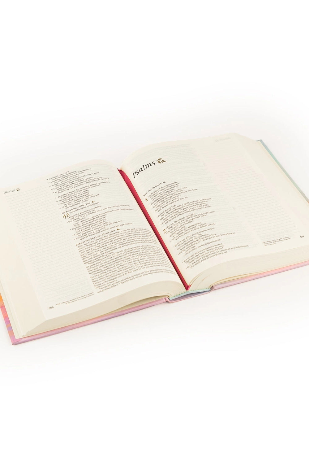 HOSANNA REVIVAL NLT Rosemary Notetaking Bible accessory, featuring a compact design with labeled sections for note-taking and reflection.