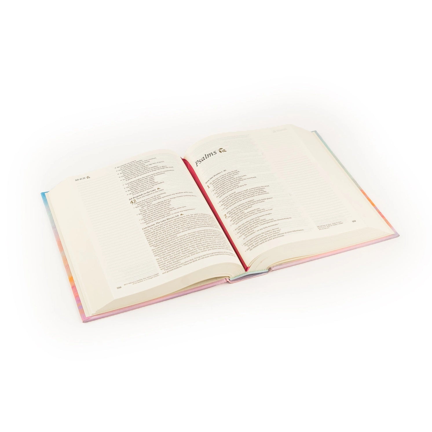 HOSANNA REVIVAL NLT Rosemary Notetaking Bible accessory, featuring a compact design with labeled sections for note-taking and reflection.