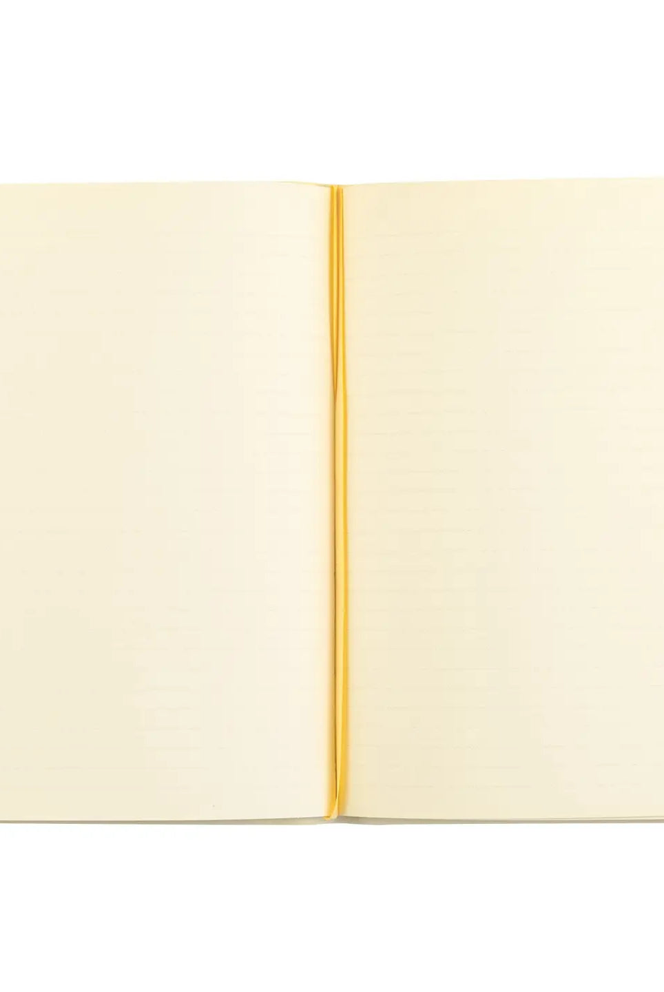 HOSANNA REVIVAL Belfast Theme notebook with decorative cover, featuring intricate artwork and lined pages for writing and note-taking.