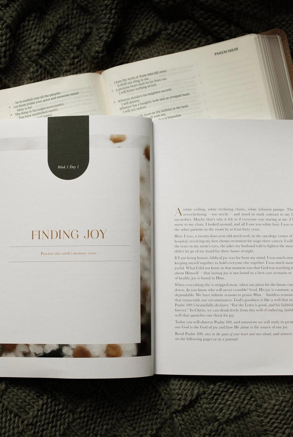 Joy That Endures Bible Study guide from THE DAILY GRACE CO, featuring a spiritual book with elegant cover design.