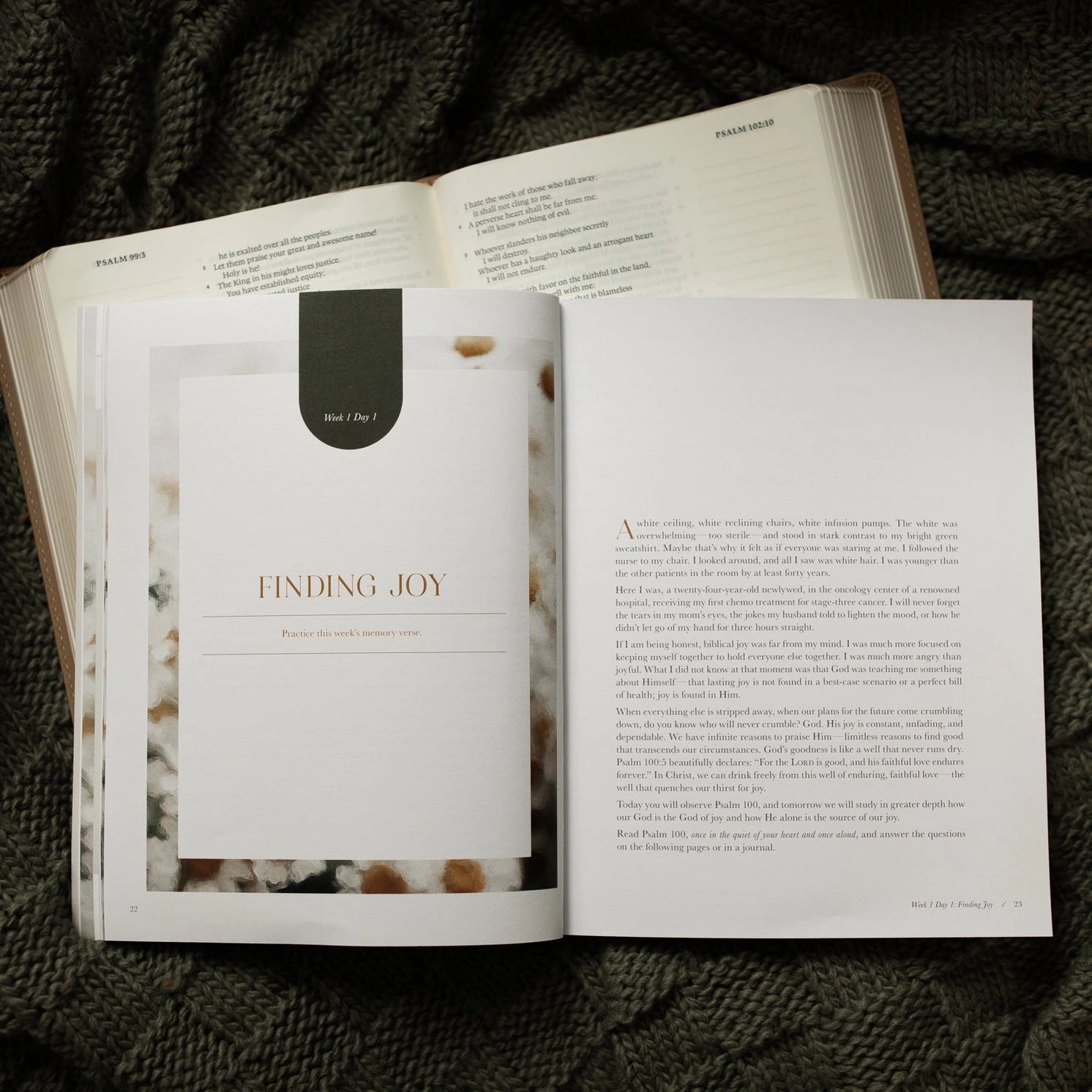 Joy That Endures Bible Study guide from THE DAILY GRACE CO, featuring a spiritual book with elegant cover design.
