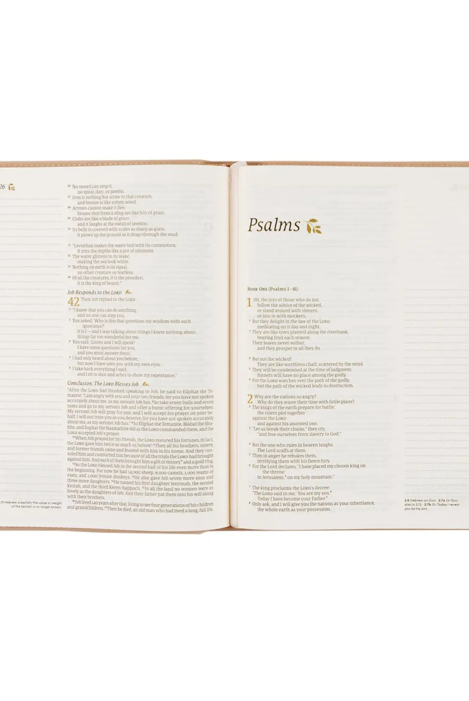 HOSANNA REVIVAL NLT Notetaking Bible with cover, open pages showing note sections and Bible text, 218 Other Accessories.