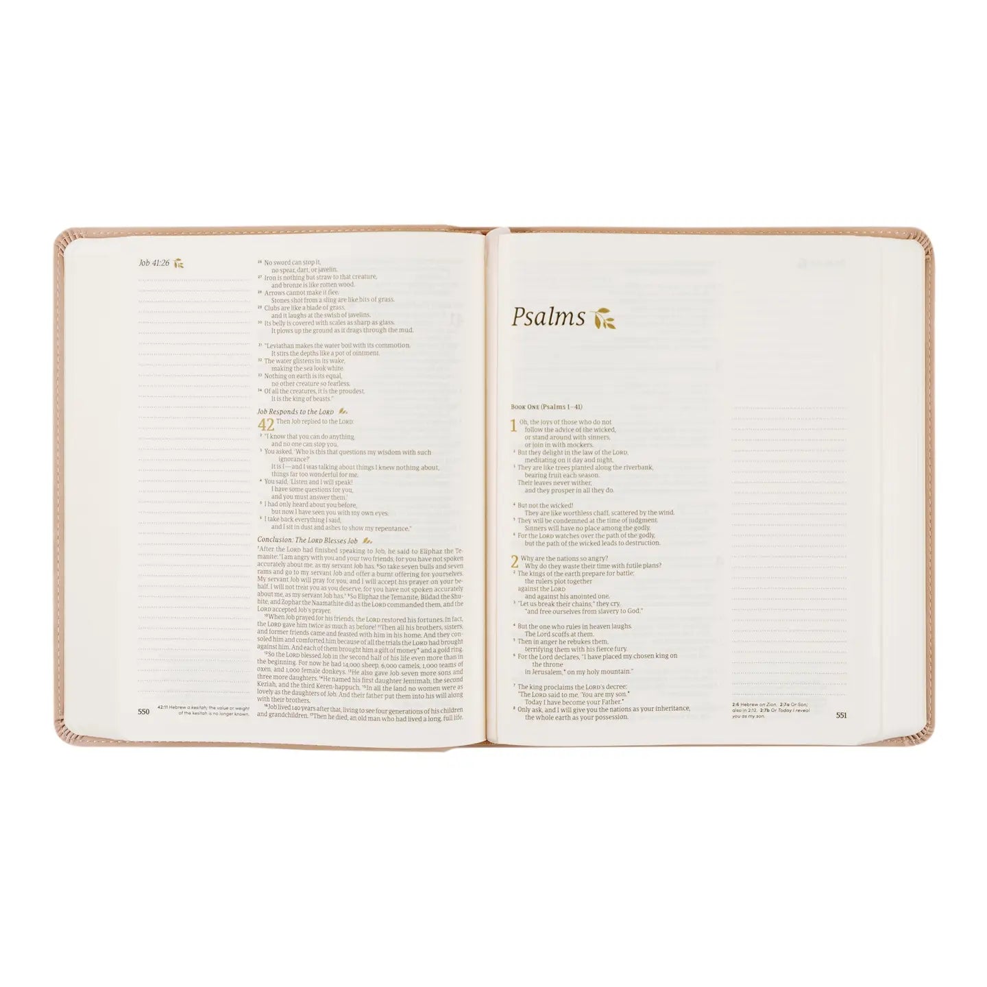 HOSANNA REVIVAL NLT Notetaking Bible with cover, open pages showing note sections and Bible text, 218 Other Accessories.