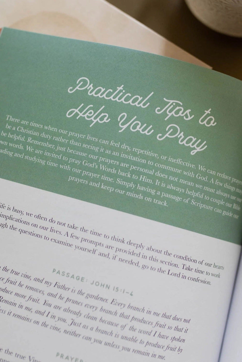 Growing In Grace Bible Study by THE DAILY GRACE CO, a 307 home accessory with a decorative design for spiritual inspiration.