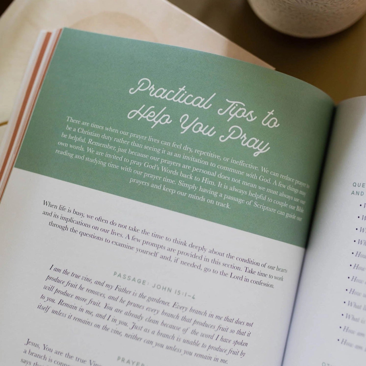 Growing In Grace Bible Study by THE DAILY GRACE CO, a 307 home accessory with a decorative design for spiritual inspiration.