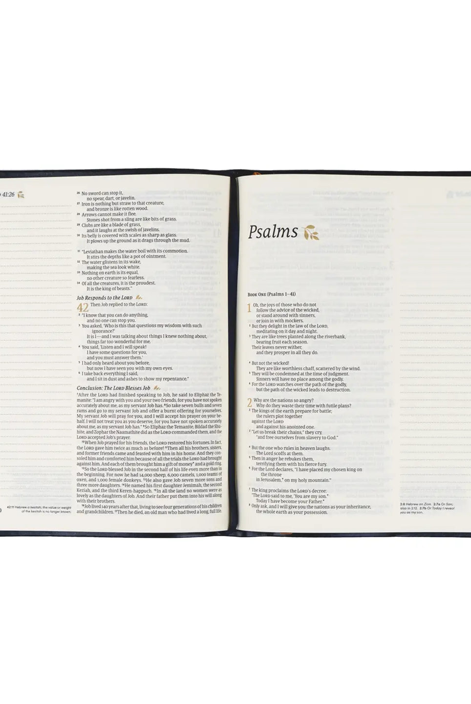 HOSANNA REVIVAL NLT Versailles Notetaking Bible with 218 accessories, featuring a detailed cover and interior pages for Bible study.