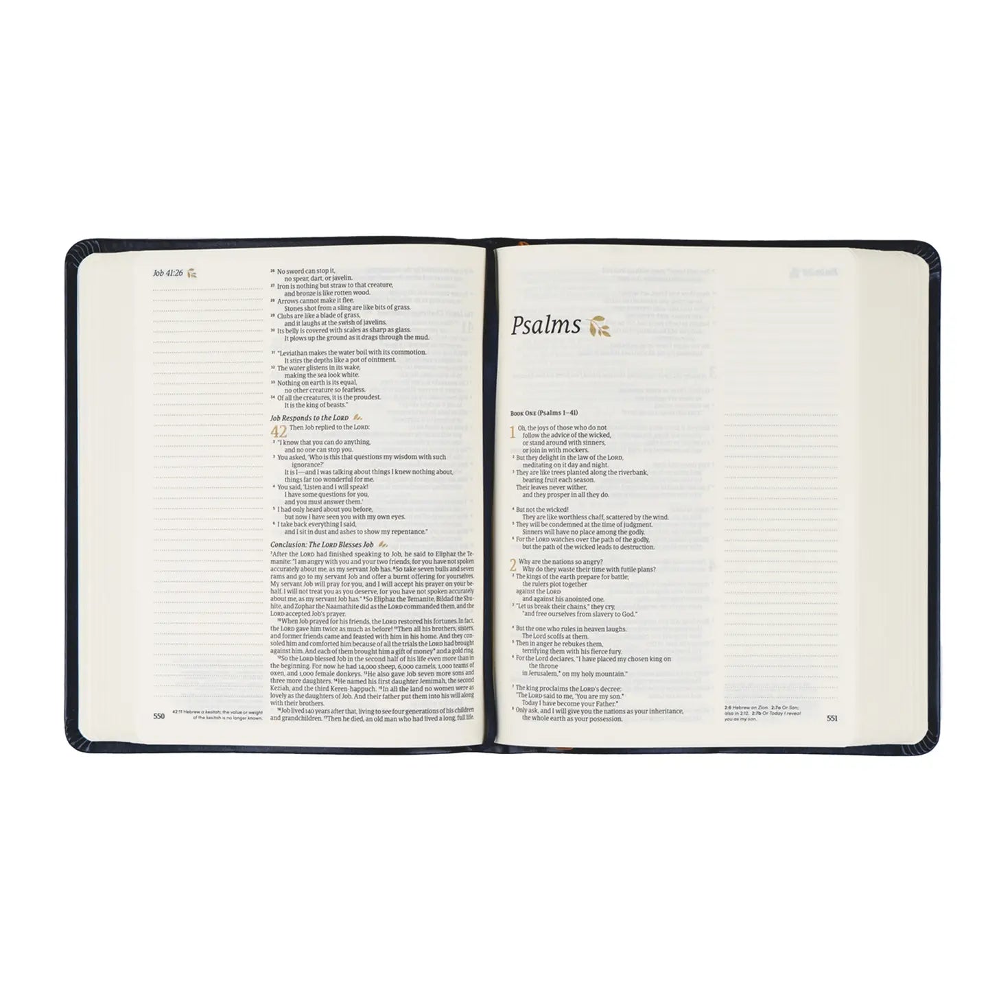 NLT Versailles Notetaking Bible by HOSANNA REVIVAL, showing the cover with elegant design and gold accents.