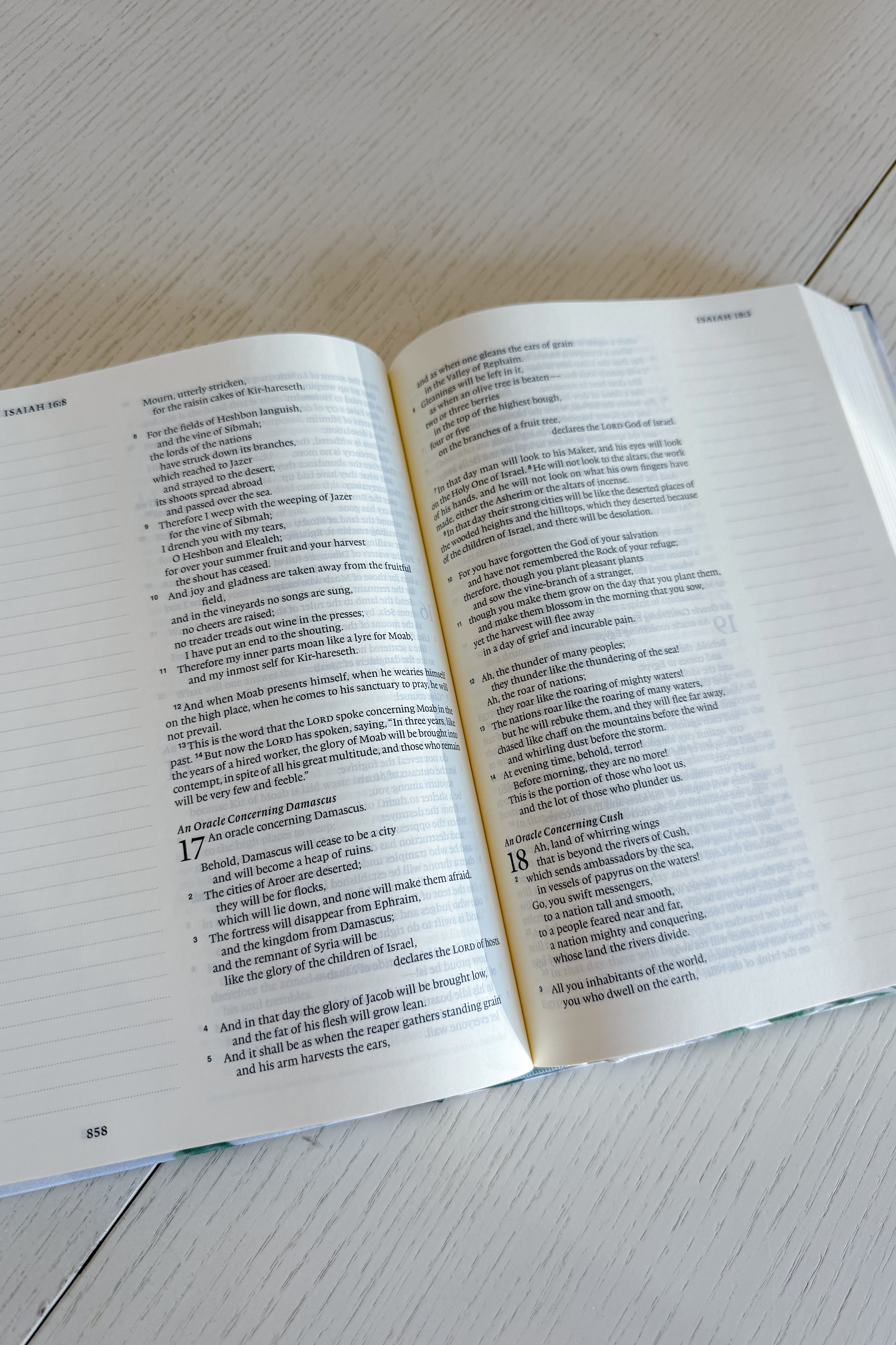 ESV Large Print Journaling Bible: Victoria Theme - Be You Boutique