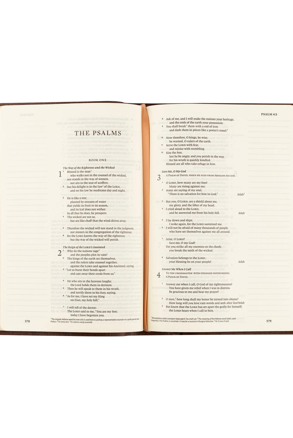 ESV Palma Theme Journaling Bible by HOSANNA REVIVAL, featuring decorative cover and journaling pages for spiritual reflection.