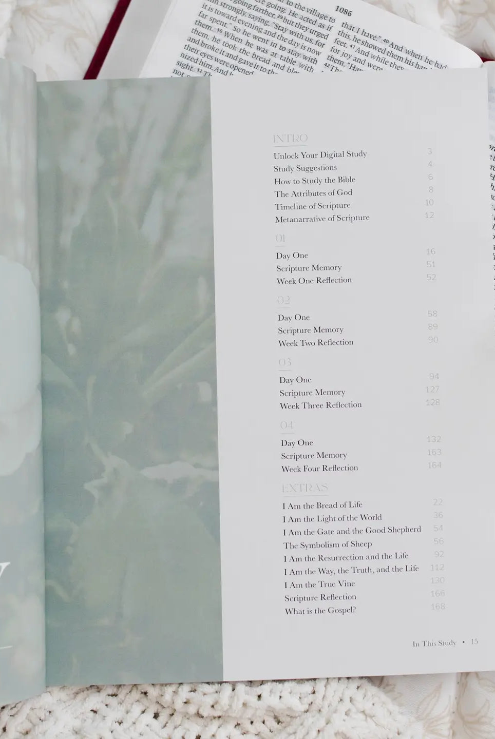 I Am Bible Study 307 Home Accessories by THE DAILY GRACE CO, featuring a decorative spiritual-themed design for home decor.