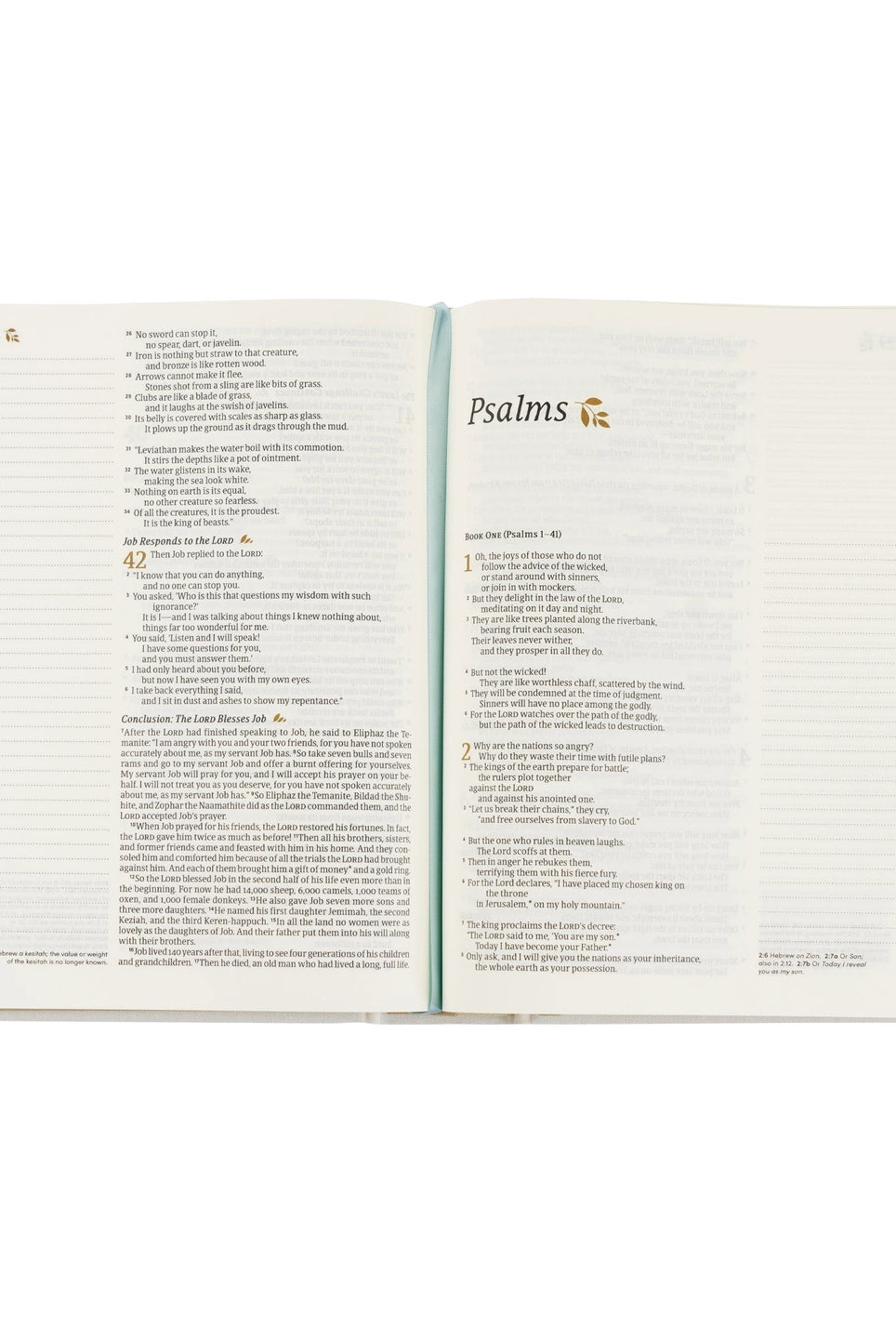 HOSANNA REVIVAL NLT Lisbon Theme Notetaking Bible with 218 accessories, open to show pages and decorative design.