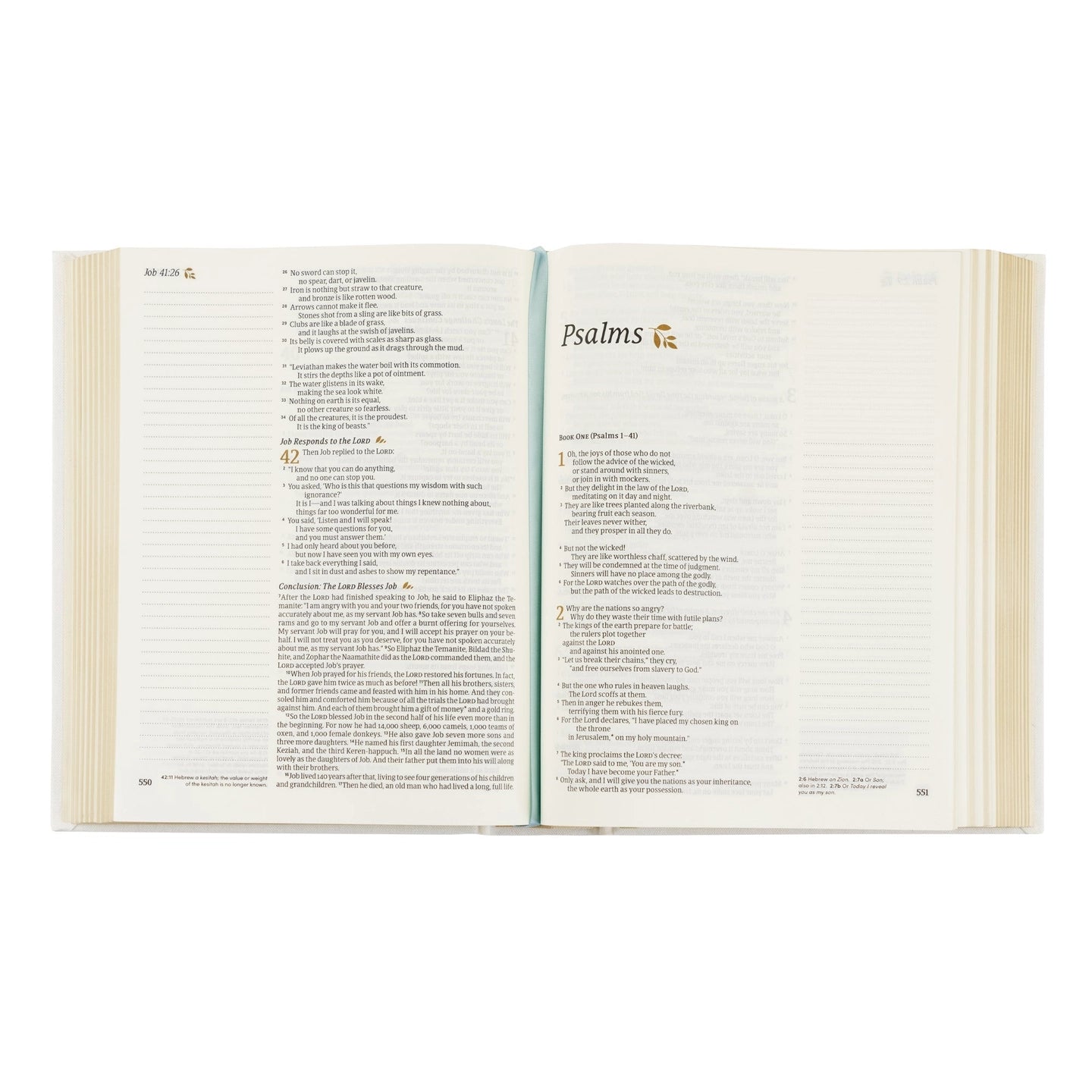 HOSANNA REVIVAL NLT Lisbon Theme Notetaking Bible with 218 accessories, open to show pages and decorative design.