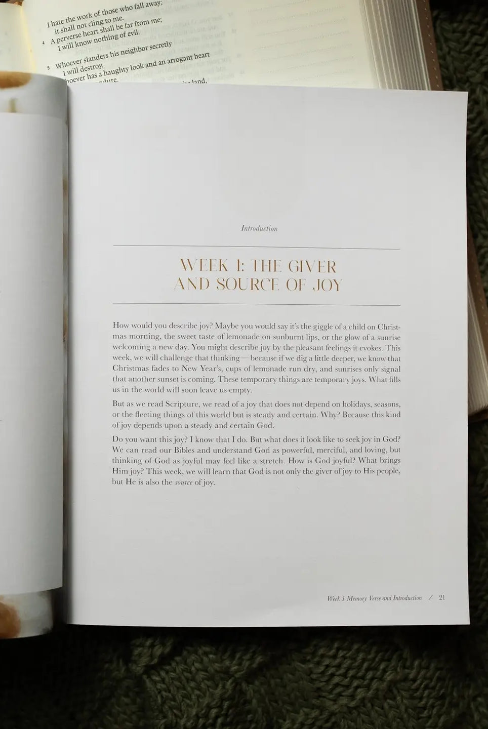 Joy That Endures Bible Study guide by THE DAILY GRACE CO, featuring a book cover with inspiring religious design.