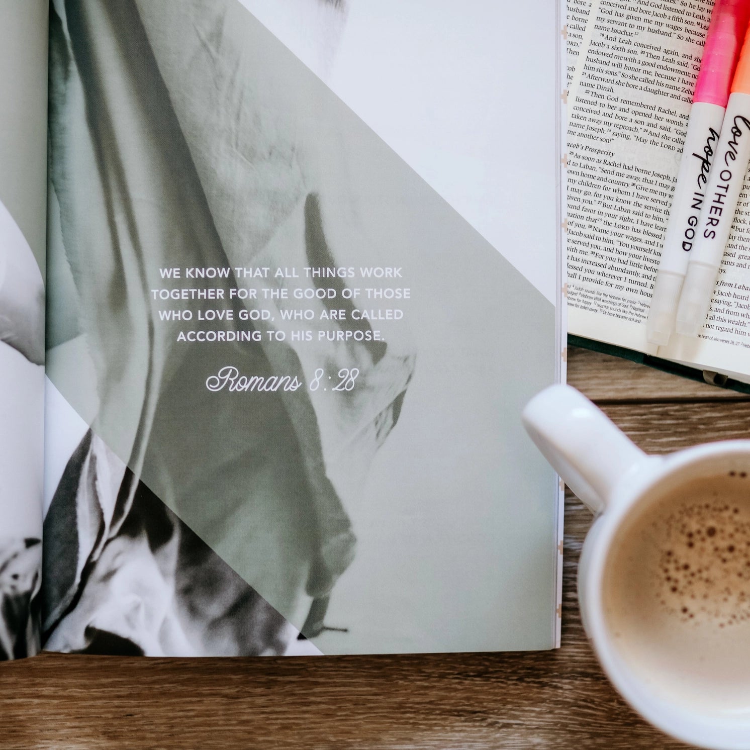 Daughters of Grace Bible Study book by THE DAILY GRACE CO, a Christian home accessory with inspiring spiritual content.