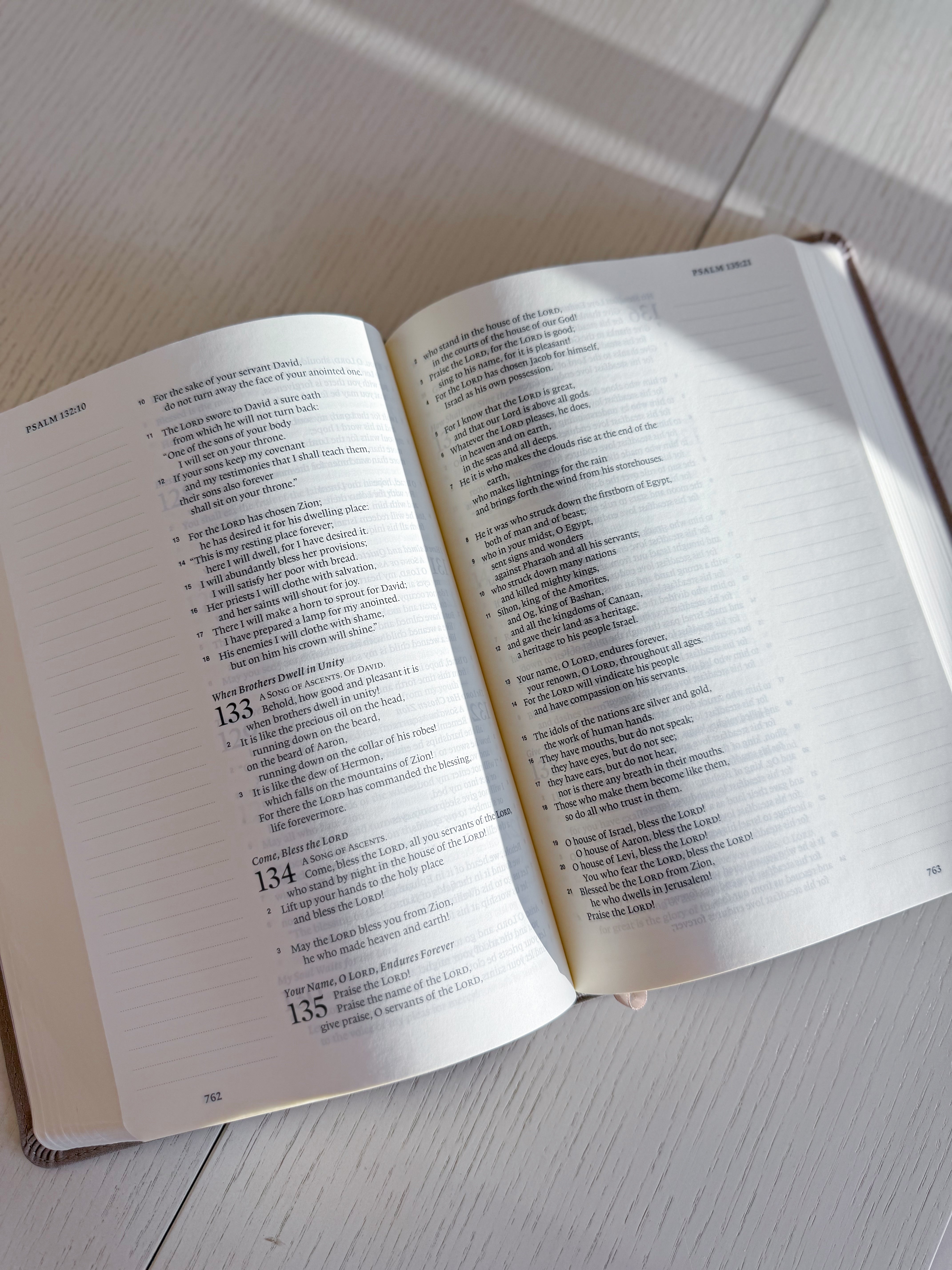 ESV Large Print Journaling Bible : Nara Theme - Be You Boutique