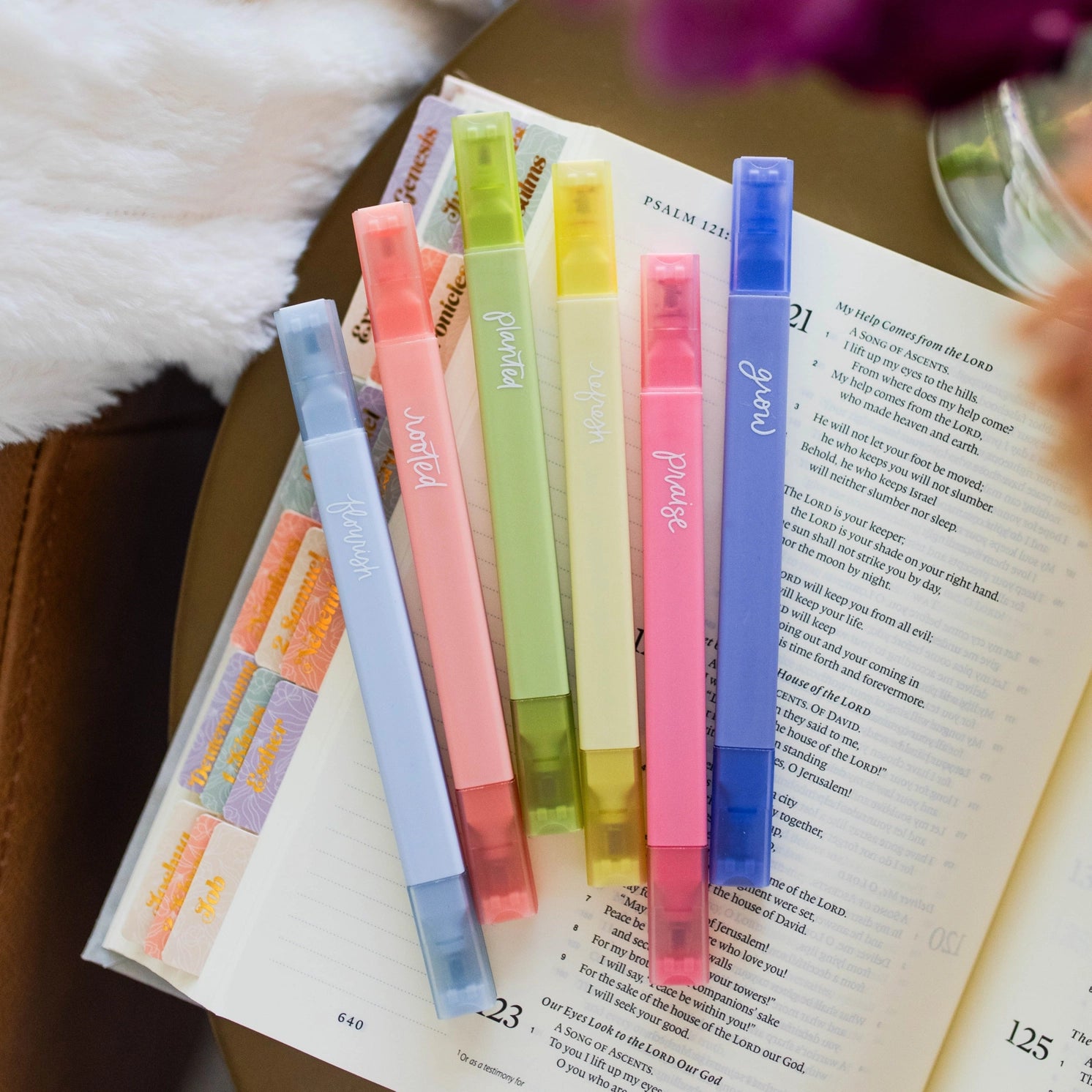 Garden Highlighter Set from THE DAILY GRACE CO, featuring colorful garden markers and plant labels for outdoor gardening.