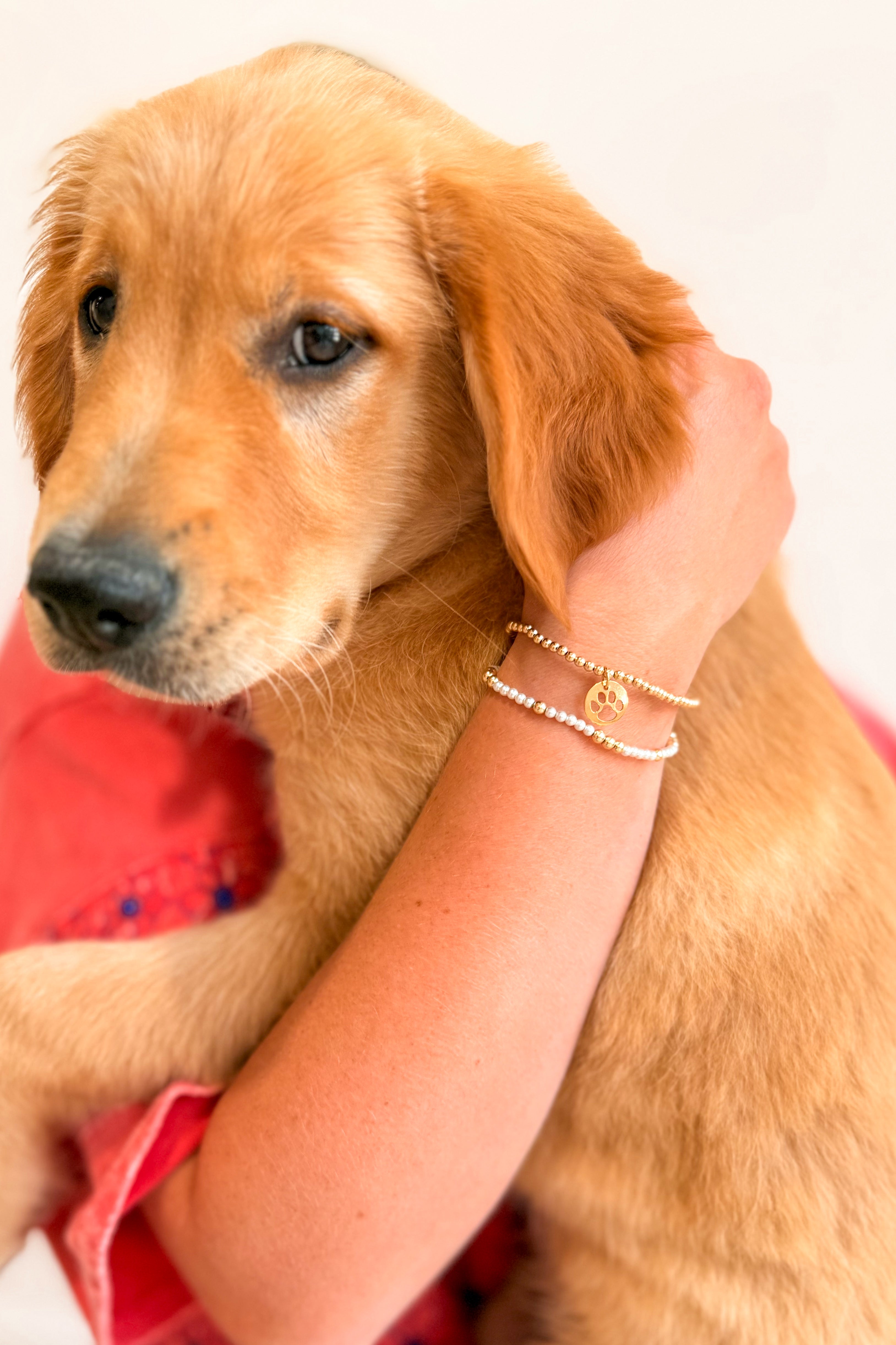 Enewton 3mm Paw Print Gold Disc Bracelet - Be You Boutique