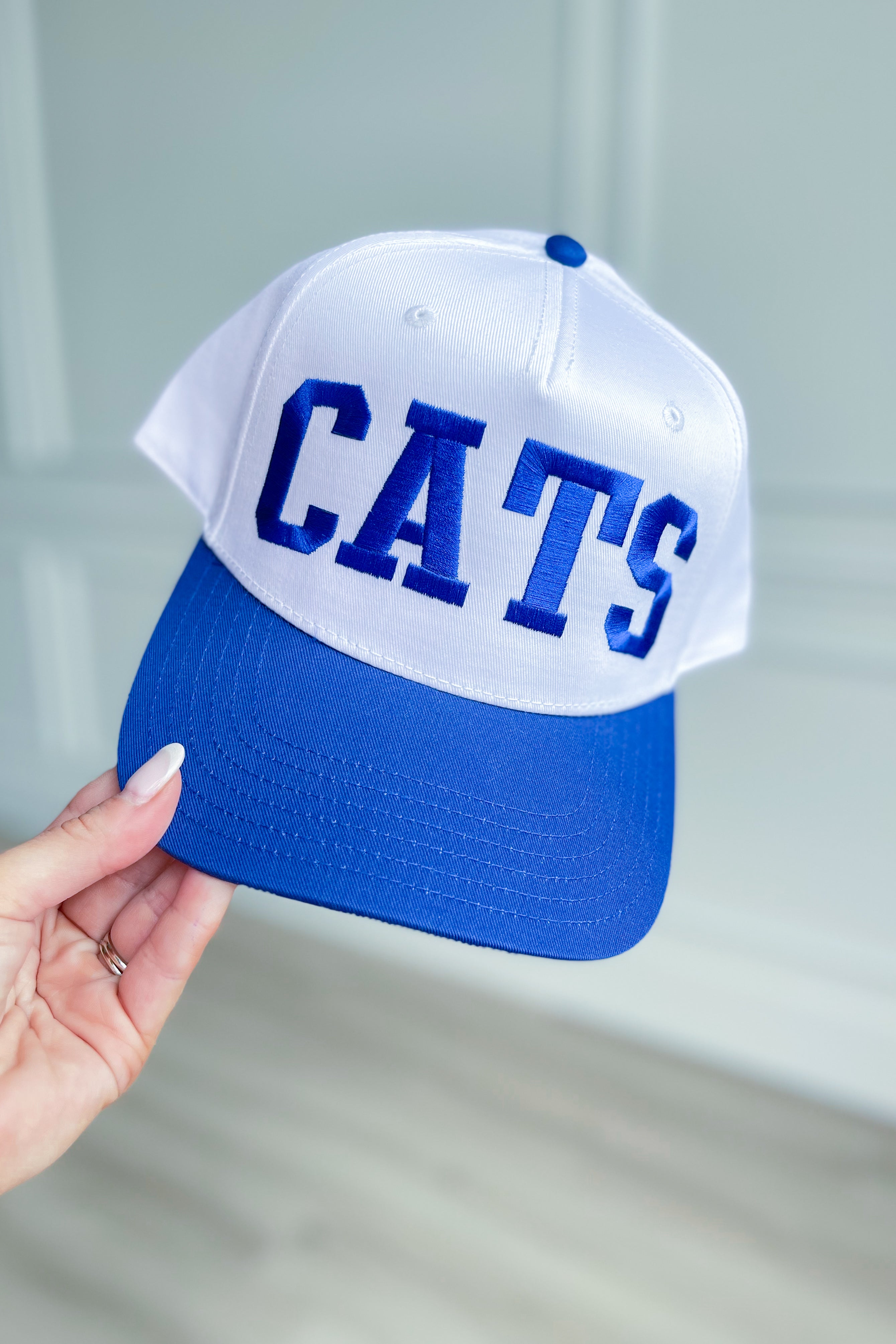 Cats Kentucky Wildcats Vintage Trucker Hat - Be You Boutique
