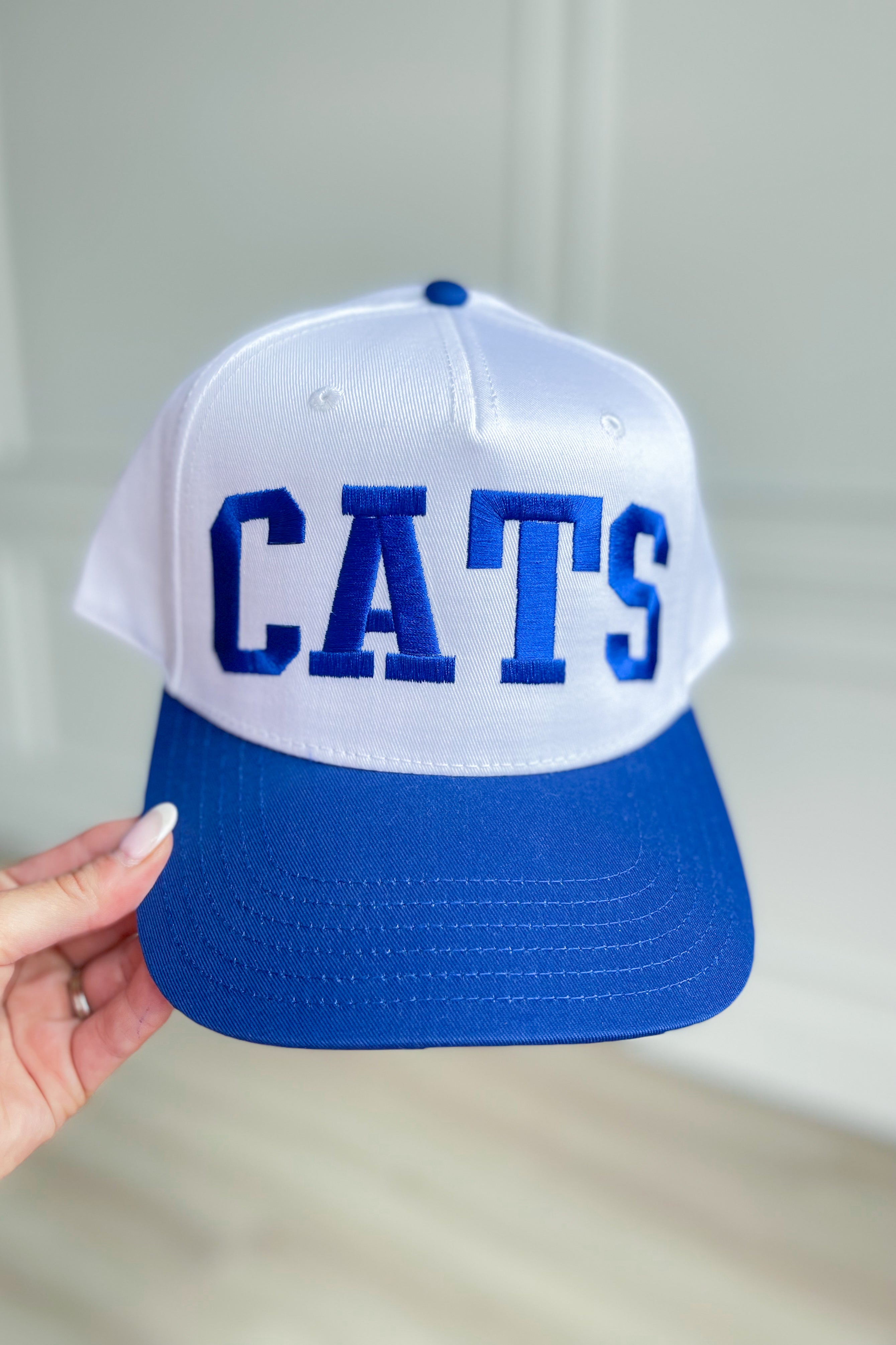Cats Kentucky Wildcats Vintage Trucker Hat - Be You Boutique
