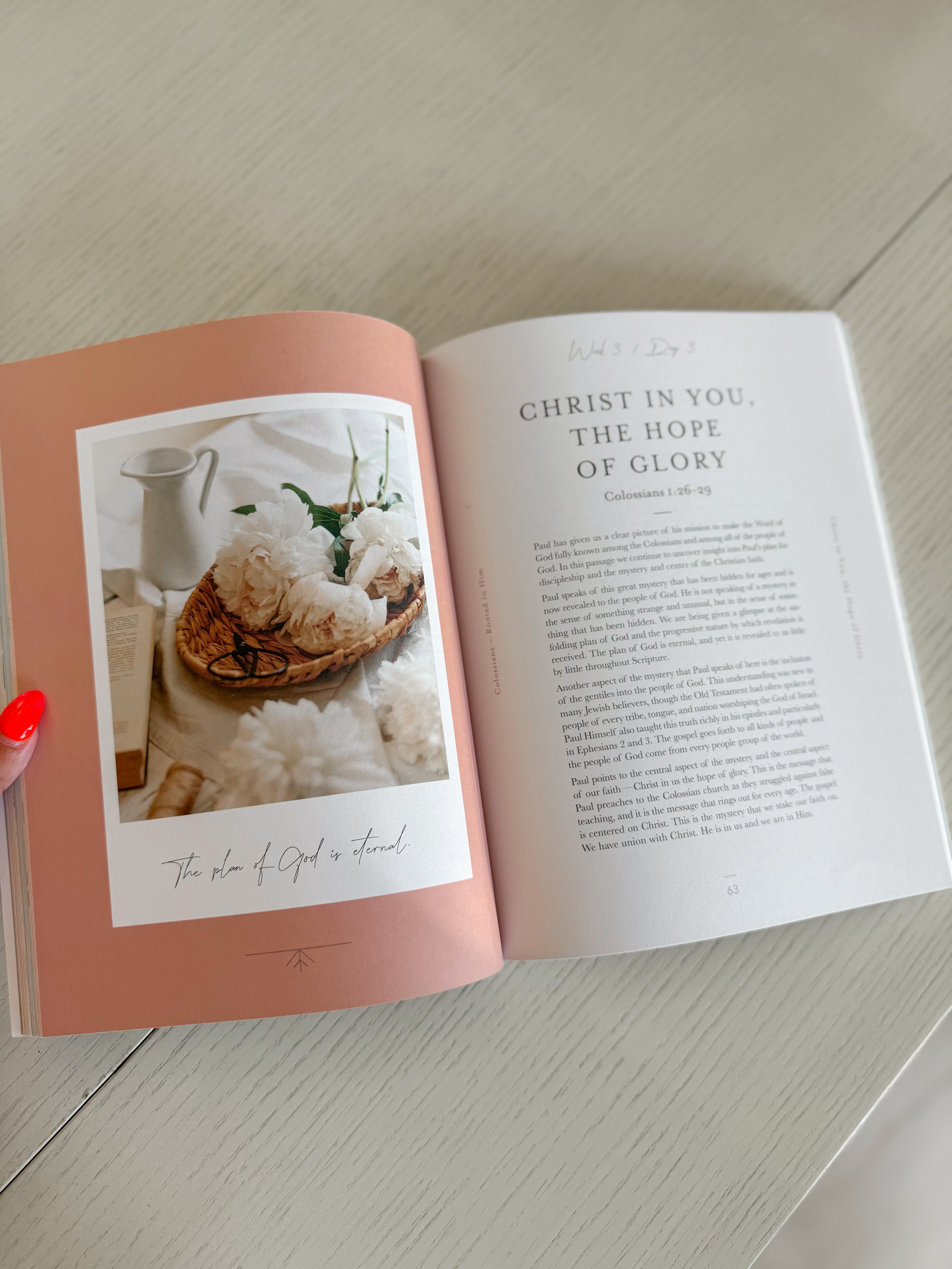 Colossians Bible Study | Rooted in Him - Be You Boutique