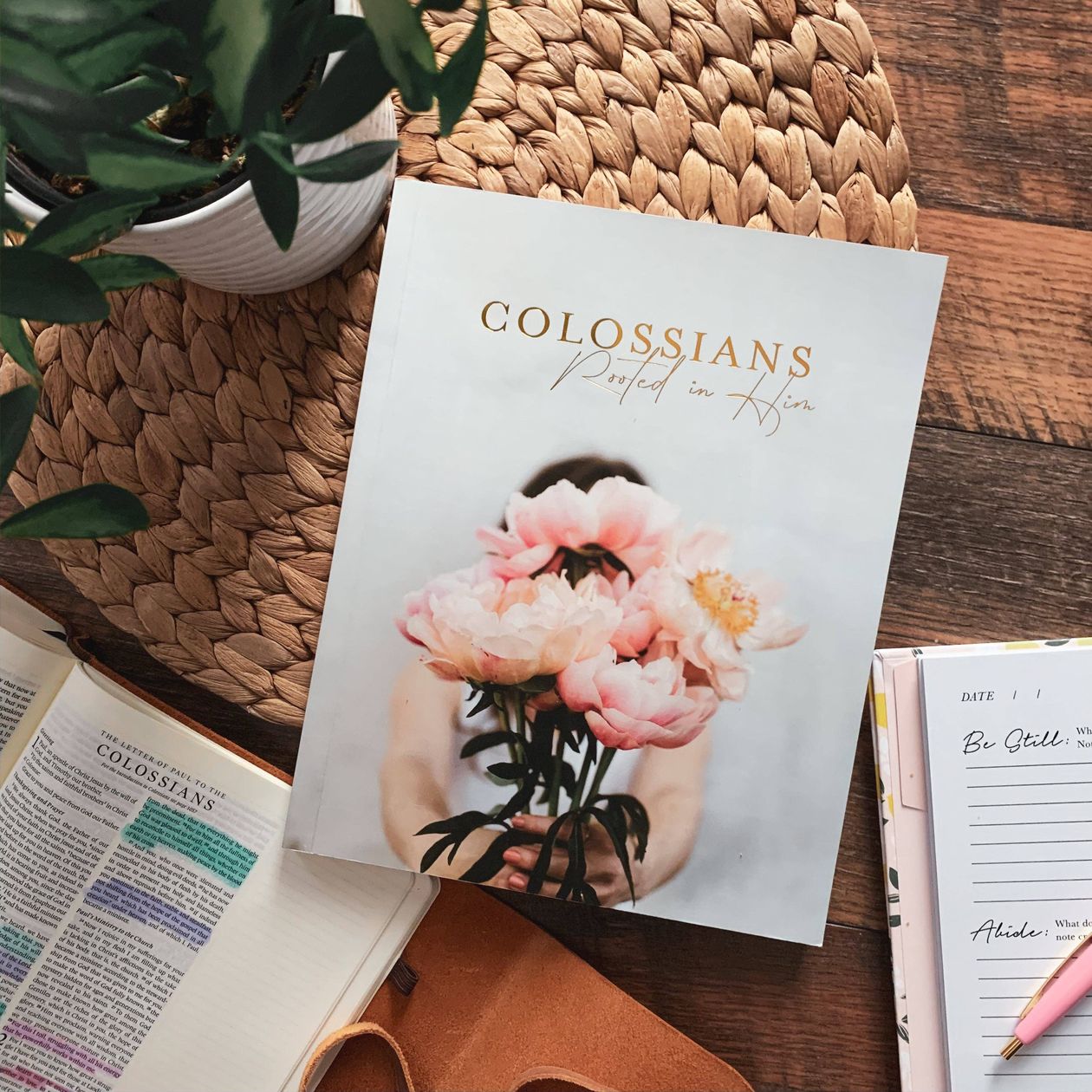 Colossians Bible Study | Rooted in Him - Be You Boutique