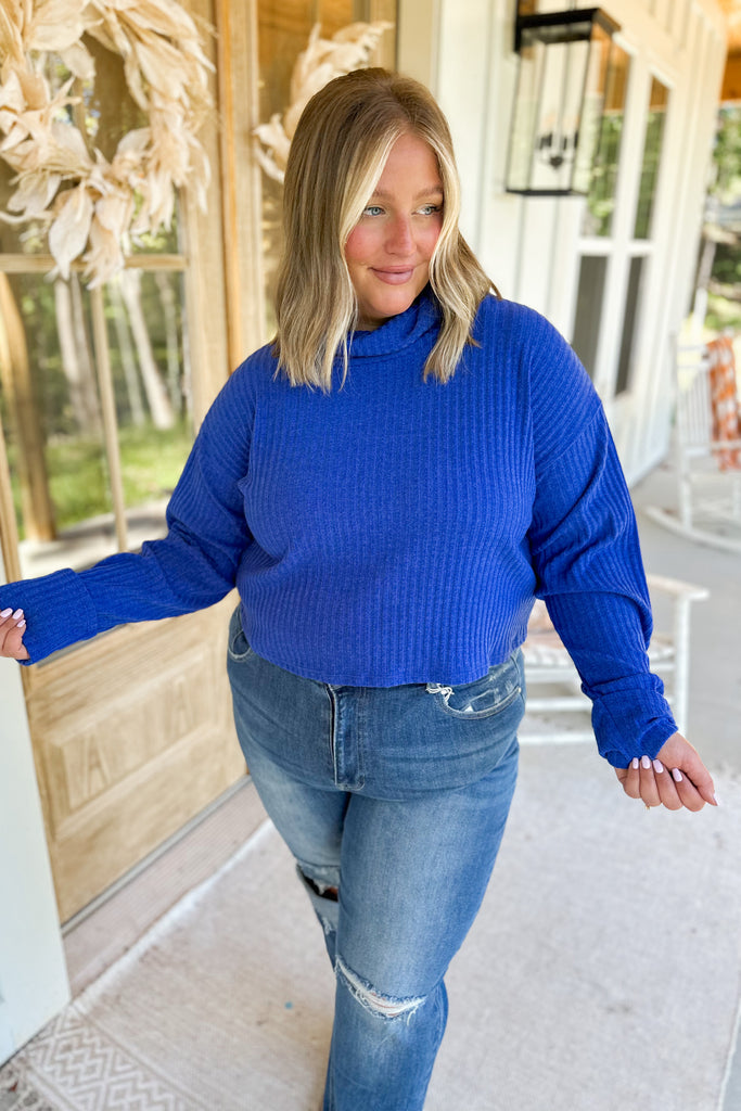 Garry Textured Cropped Turtle Neck Sweater Top - Be You Boutique