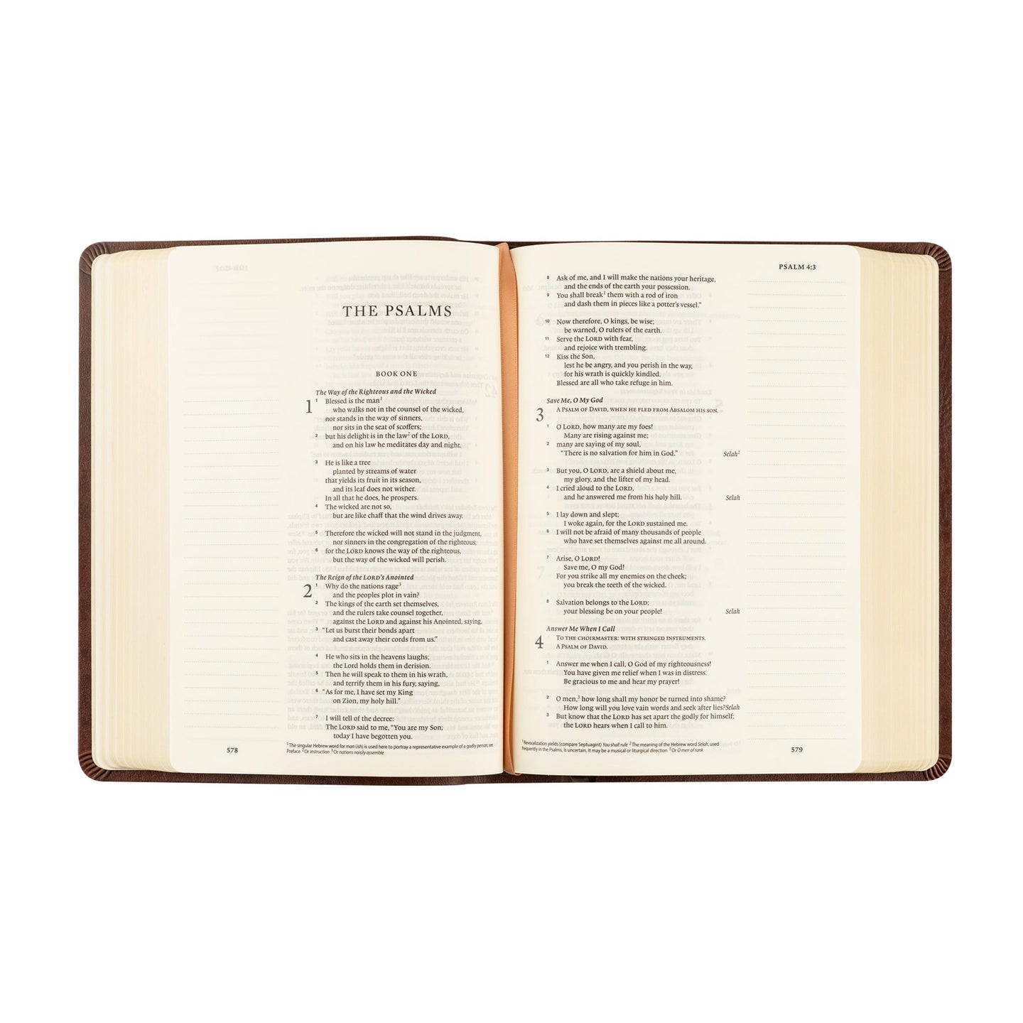 ESV Palma Theme Journaling Bible by HOSANNA REVIVAL, featuring decorative cover and journaling pages for spiritual reflection.