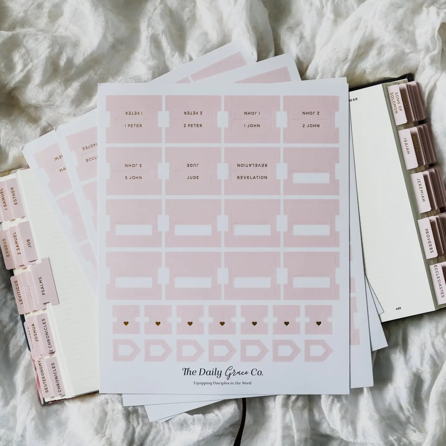 HOSANNA REVIVAL Blush Bible Tabs, 218 decorative accessories for Bible organization and highlighting pages.