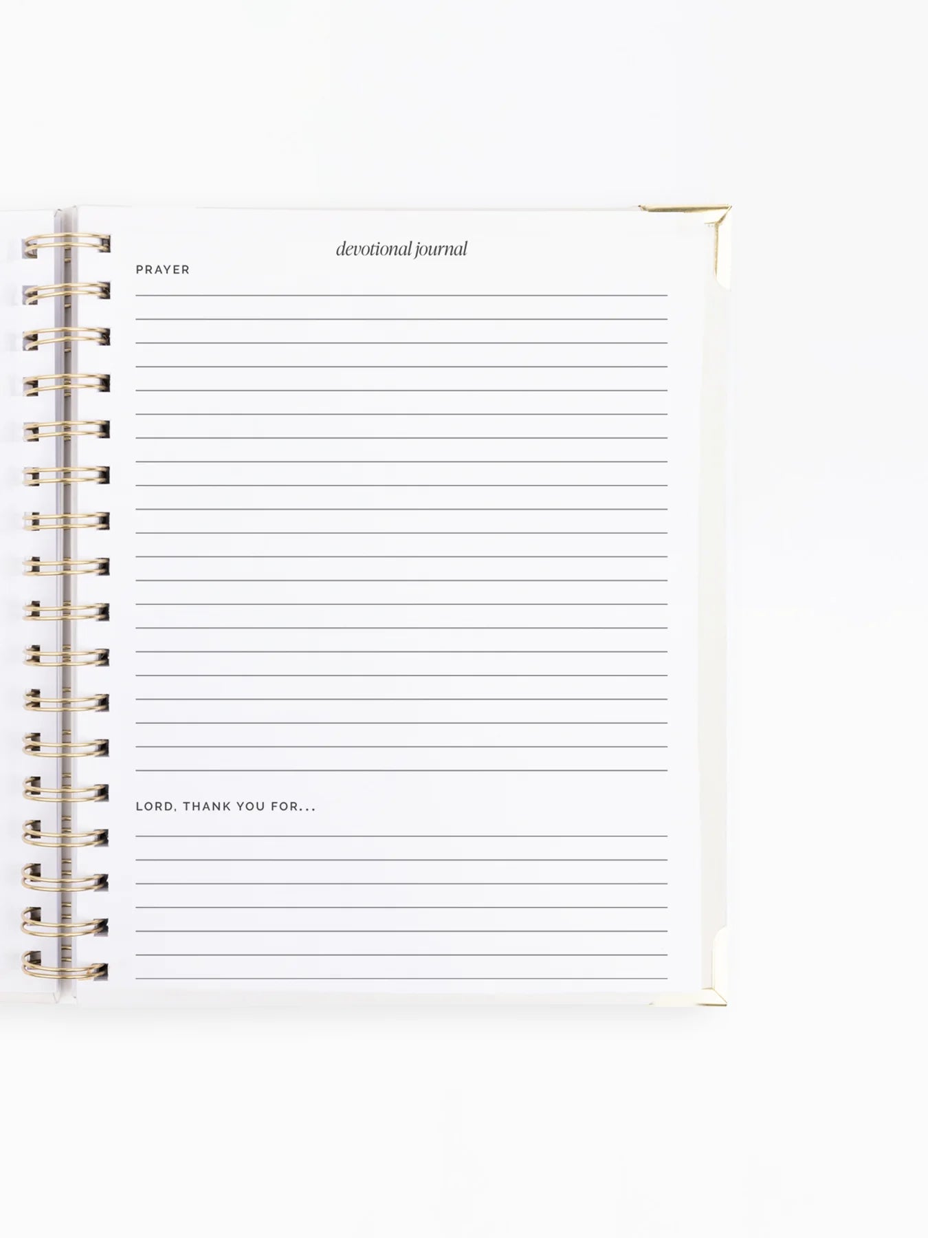 Open Mary Square devotional journal interior showing lined pages with inspirational quotes for daily reflection.