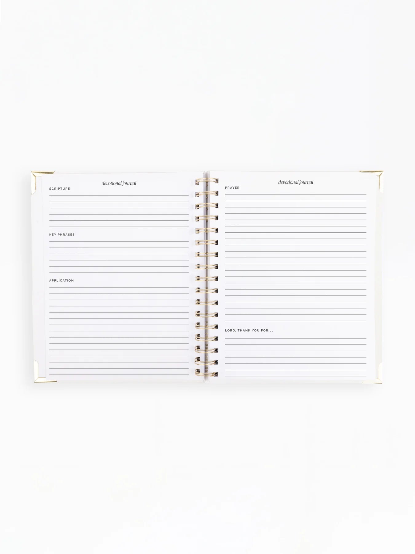 Interior view of the Mary Square Devotional Journal, featuring lined pages and decorative accents for daily reflection.