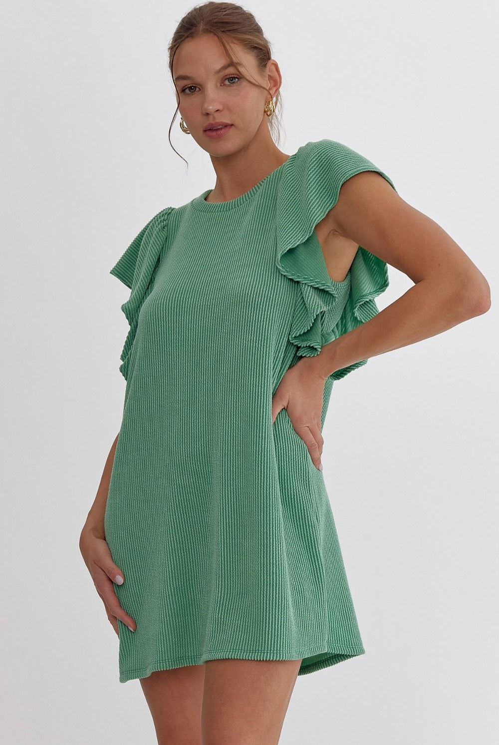 Alice Round Neck Ruffle Sleeve Detail Dress - Be You Boutique